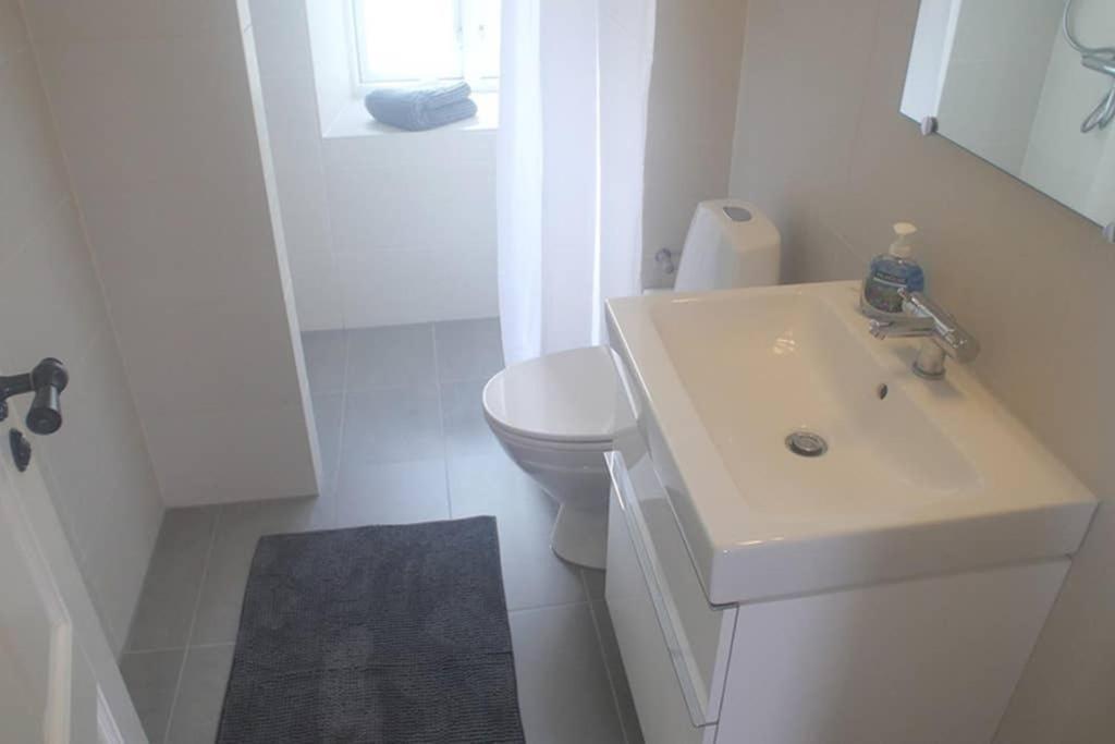Next To New Harbor / 3 Bedroom & 2 Bath Rooms Copenhagen Luaran gambar